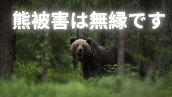 ペンション駒城周辺での、ツキノワグマ目撃情報はありません